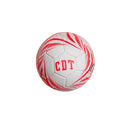 Balon pequeño oficial Toluca FC